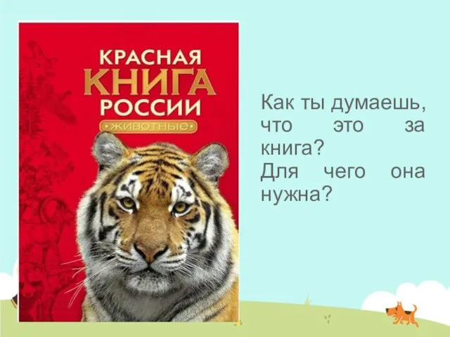 Как ты думаешь, что это за книга? Для чего она нужна?