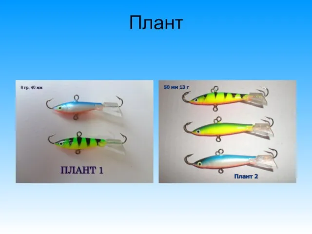 Плант