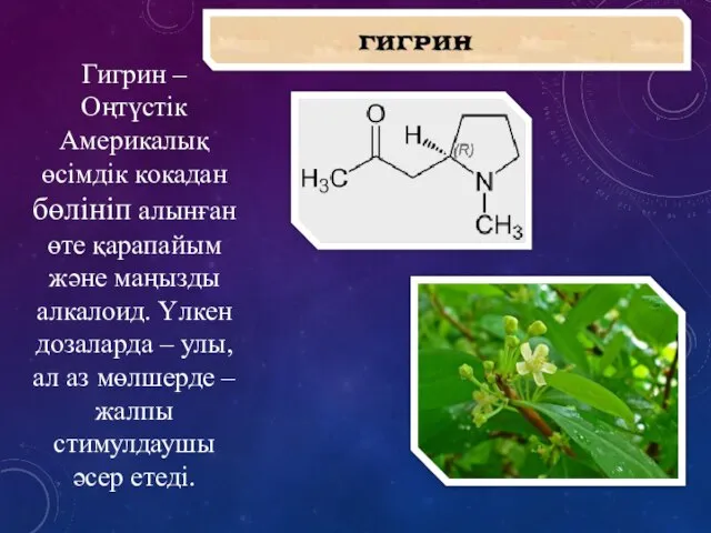 Гигрин – Оңтүстік Америкалық өсімдік кокадан бөлініп алынған өте қарапайым және маңызды