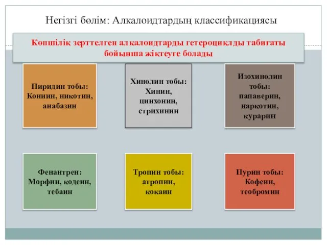 Көпшілік зерттелген алкалоидтарды гетероциклды табиғаты бойынша жіктеуге болады Пиридин тобы: Кониин, никотин,