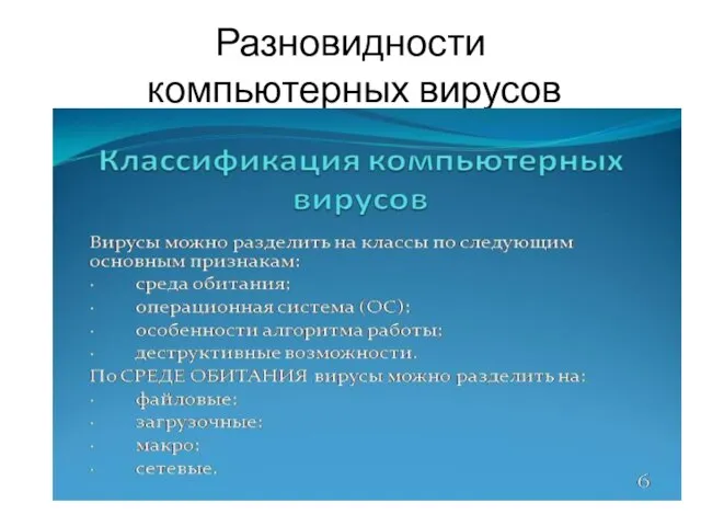 Разновидности компьютерных вирусов