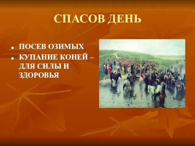 СПАСОВ ДЕНЬ ПОСЕВ ОЗИМЫХ КУПАНИЕ КОНЕЙ – ДЛЯ СИЛЫ И ЗДОРОВЬЯ