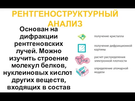 РЕНТГЕНОСТРУКТУРНЫЙ АНАЛИЗ Основан на дифракции рентгеновских лучей. Можно изучить строение молекул белков,