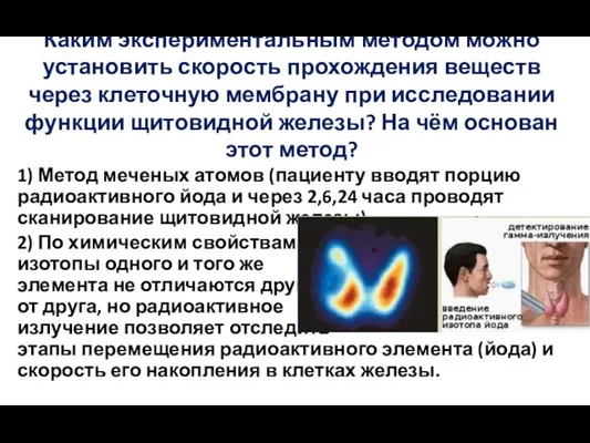 Каким экспериментальным методом можно установить скорость прохождения веществ через клеточную мембрану при