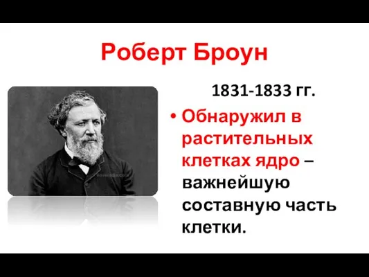 Роберт Броун 1831-1833 гг. Обнаружил в растительных клетках ядро – важнейшую составную часть клетки.