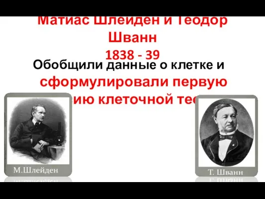 Матиас Шлейден и Теодор Шванн 1838 - 39 Обобщили данные о клетке