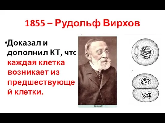 1855 – Рудольф Вирхов Доказал и дополнил КТ, что каждая клетка возникает из предшествующей клетки.