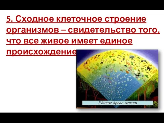 5. Сходное клеточное строение организмов – свидетельство того, что все живое имеет единое происхождение.