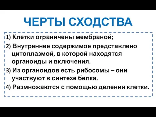 ЧЕРТЫ СХОДСТВА 1) Клетки ограничены мембраной; 2) Внутреннее содержимое представлено цитоплазмой, в