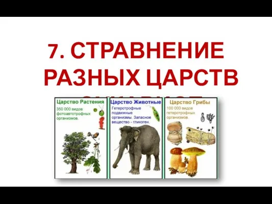 7. СТРАВНЕНИЕ РАЗНЫХ ЦАРСТВ ЭУКАРИОТ