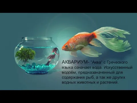 АКВАРИУМ- ”Аква” с Греческого языка означает вода. Искусственный водоём, предназаначенный для содержания