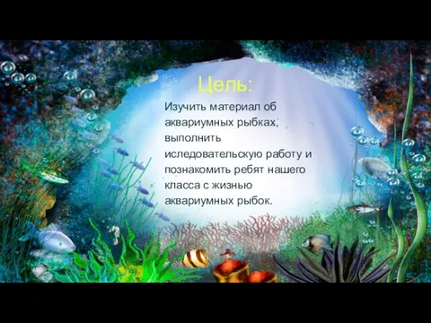 Цель: Изучить материал об аквариумных рыбках,выполнить иследовательскую работу и познакомить ребят нашего