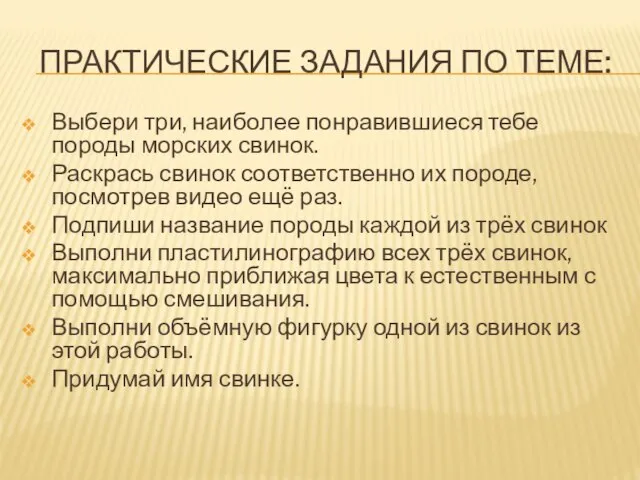 ПРАКТИЧЕСКИЕ ЗАДАНИЯ ПО ТЕМЕ: Выбери три, наиболее понравившиеся тебе породы морских свинок.