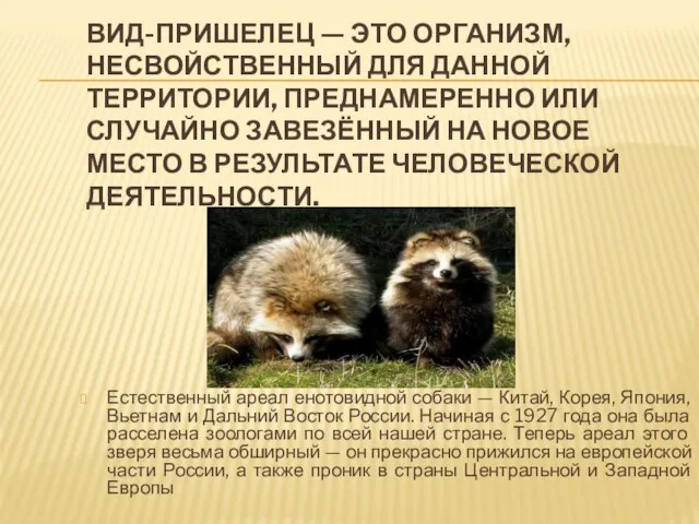 ВИД-ПРИШЕЛЕЦ — ЭТО ОРГАНИЗМ, НЕСВОЙСТВЕННЫЙ ДЛЯ ДАННОЙ ТЕРРИТОРИИ, ПРЕДНАМЕРЕННО ИЛИ СЛУЧАЙНО ЗАВЕЗЁННЫЙ