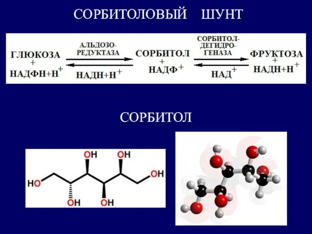 СОРБИТОЛОВЫЙ ШУНТ СОРБИТОЛ