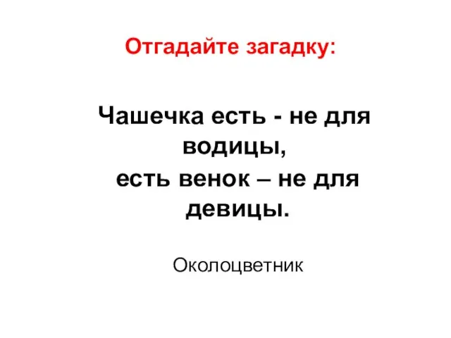 Отгадайте загадку: Чашечка есть - не для водицы, есть венок – не для девицы. Околоцветник