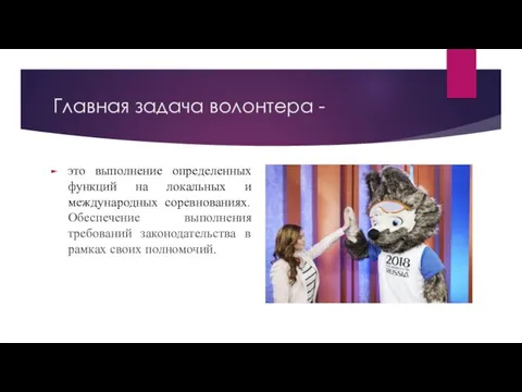 Главная задача волонтера - это выполнение определенных функций на локальных и международных