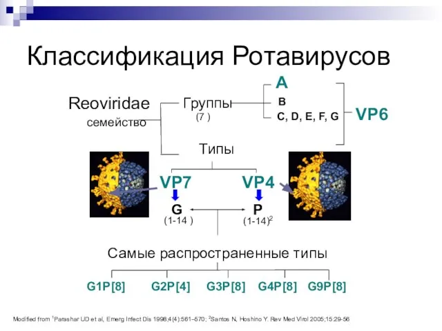 Классификация Ротавирусов A G1P[8] VP4 VP7 Типы C, D, E, F, G