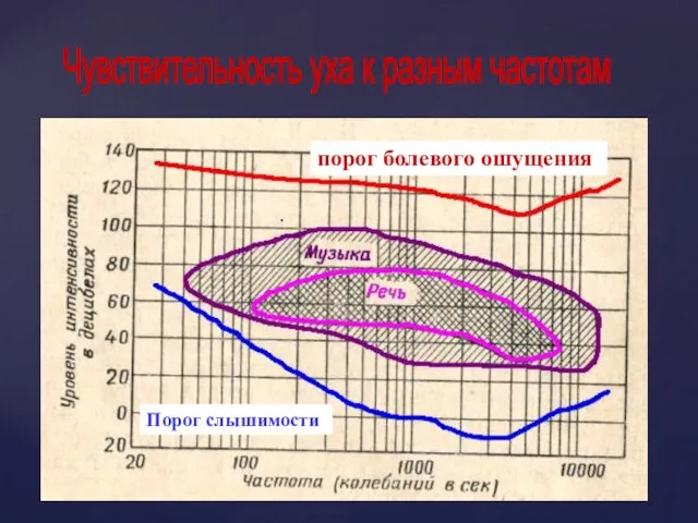 Чувствительность уха к разным частотам Порог слышимости порог болевого ошущения