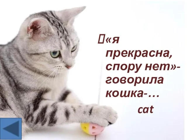 «я прекрасна, спору нет»-говорила кошка-… cat