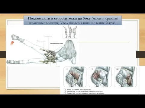 Подъем ноги в сторону лежа на боку (малая и средняя ягодичные мышцы)