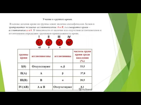 Учение о группах крови. В основе деления крови на группы лежит наличие