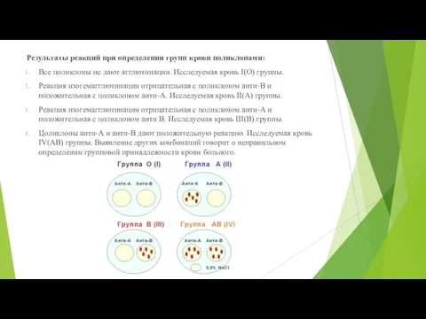 Результаты реакций при определении групп крови цоликлонами: Все цоликлоны не дают агглютинации.