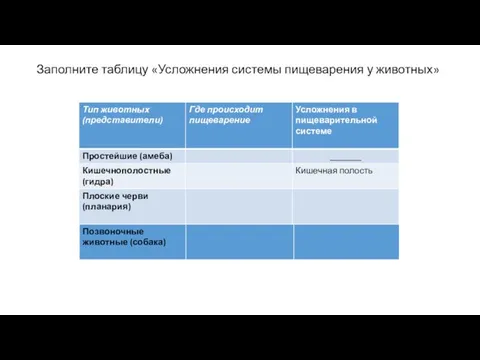 Заполните таблицу «Усложнения системы пищеварения у животных»