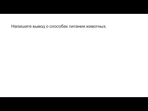 Напишите вывод о способах питания животных.