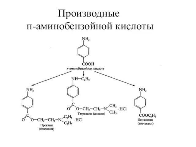 Производные п-аминобензойной кислоты