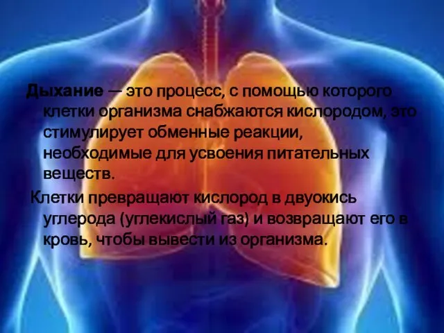 Дыхание — это процесс, с помощью которого клетки организма снабжаются кислородом, это