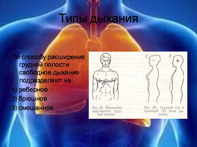 Типы дыхания По способу расширения грудной полости свободное дыхание подразделяют на: 1)