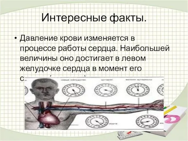 Интересные факты. Давление крови изменяется в процессе работы сердца. Наибольшей величины оно