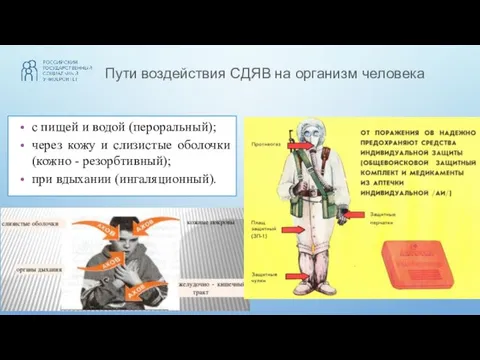 Пути воздействия СДЯВ на организм человека с пищей и водой (пероральный); через