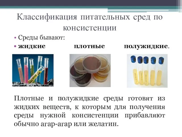 Классификация питательных сред по консистенции Среды бывают: жидкие плотные полужидкие. Плотные и