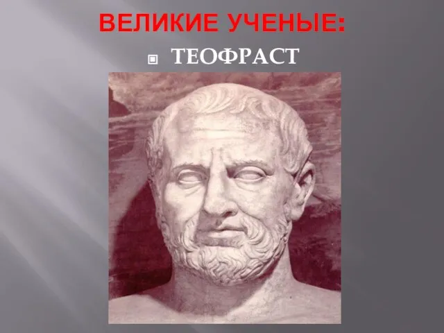 ВЕЛИКИЕ УЧЕНЫЕ: ТЕОФРАСТ