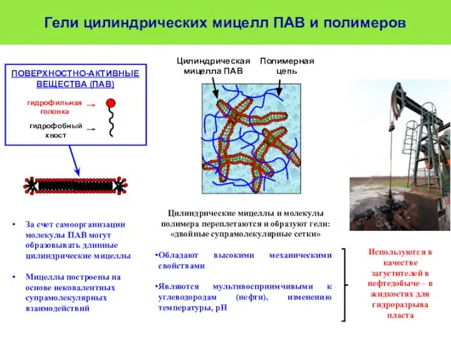 Цилиндрические мицеллы и молекулы полимера переплетаются и образуют гели: «двойные супрамолекулярные сетки»