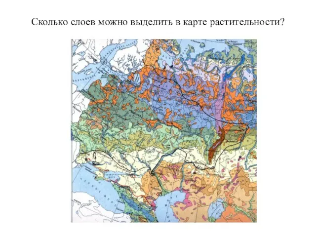 Сколько слоев можно выделить в карте растительности?