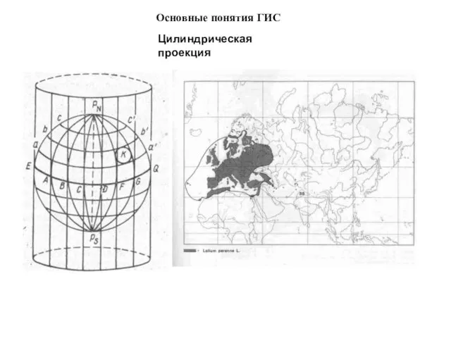 Цилиндрическая проекция Основные понятия ГИС