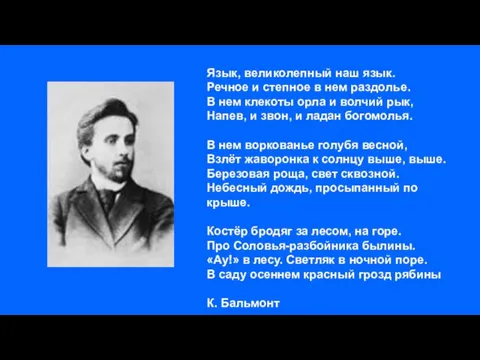 Язык, великолепный наш язык. Речное и степное в нем раздолье. В нем