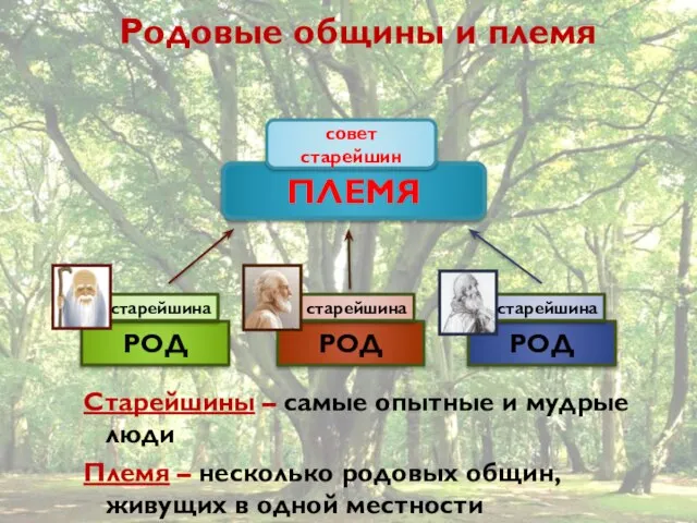 Родовые общины и племя Старейшины – самые опытные и мудрые люди Племя