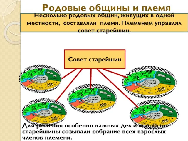 Родовые общины и племя Несколько родовых общин, живущих в одной местности, составляли