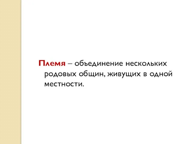 Племя – объединение нескольких родовых общин, живущих в одной местности.