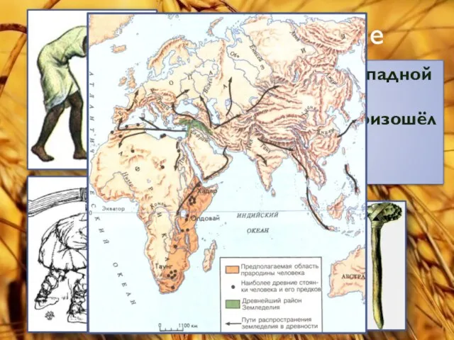 Земледелие 10 000 лет назад в Западной Азии появилось земледелие, т.е. произошёл