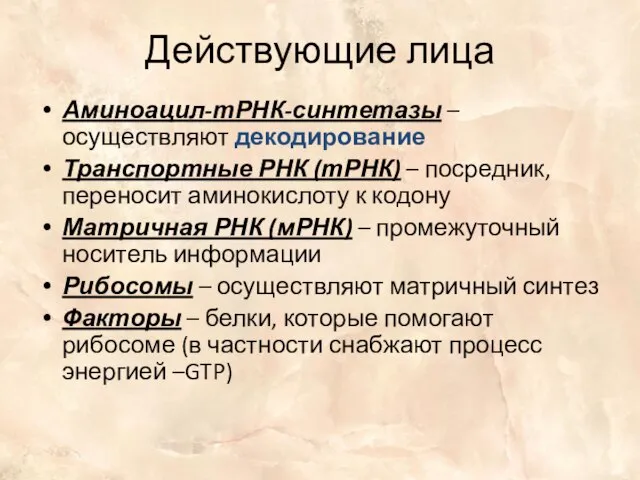 Действующие лица Аминоацил-тРНК-синтетазы – осуществляют декодирование Транспортные РНК (тРНК) – посредник, переносит