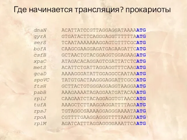 Где начинается трансляция? прокариоты dnaN ACATTATCCGTTAGGAGGATAAAAATG gyrA GTGATACTTCAGGGAGGTTTTTTAATG serS TCAATAAAAAAAGGAGTGTTTCGCATG bofA CAAGCGAAGGAGATGAGAAGATTCATG