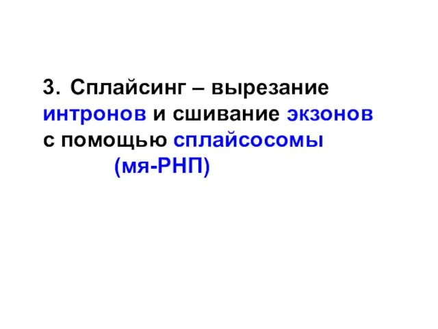 3. Сплайсинг – вырезание интронов и сшивание экзонов с помощью сплайсосомы (мя-РНП)