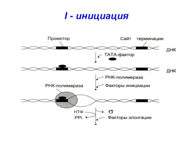 I - инициация