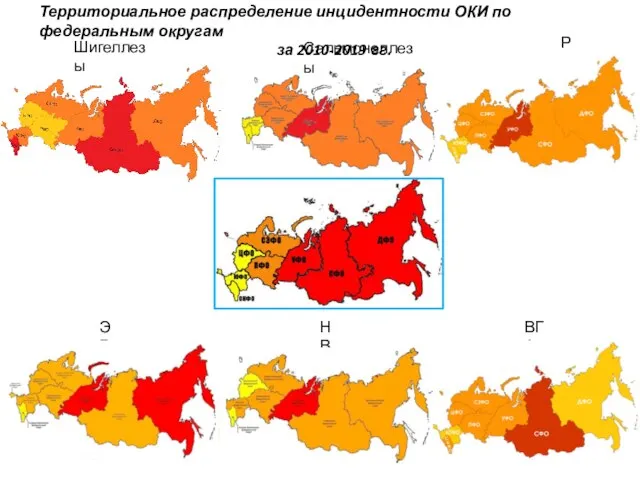 Шигеллезы Сальмонеллезы РВ ЭВ НВ ВГА Территориальное распределение инцидентности ОКИ по федеральным округам за 2010-2019 гг.
