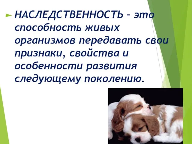 НАСЛЕДСТВЕННОСТЬ – это способность живых организмов передавать свои признаки, свойства и особенности развития следующему поколению.